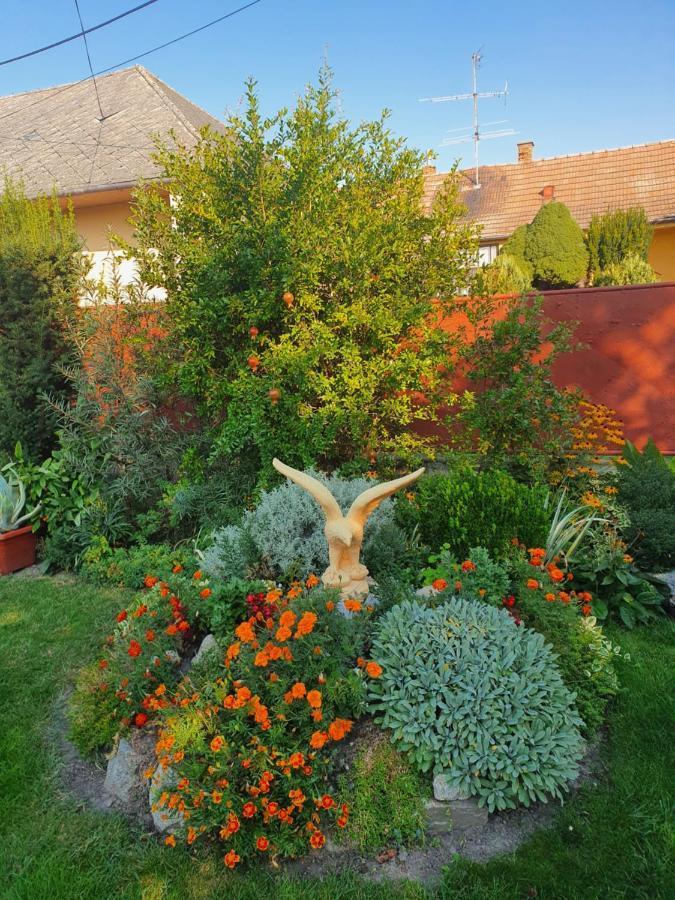 Privat U Jozefa Foeldesa Apartment Veľký Meder Екстериор снимка